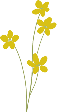 Yellow Flower